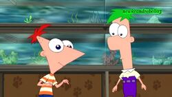 Candace And Perry Porn Candace Ferb Fletcher Phineas And Ferb Phineas Jpg